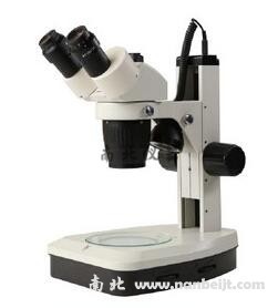 SM3-T24-S1定倍体视体式显微镜