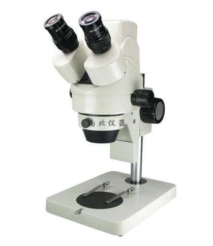 XTL-165数码体视显微镜